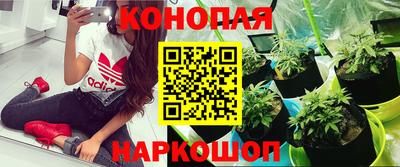 трава Гусиноозёрск